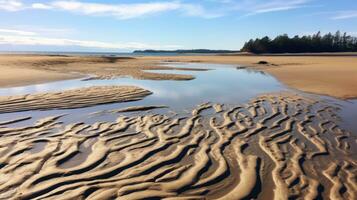 Serene sandy beach with crystal clear water. Generative AI photo