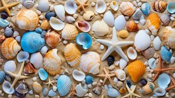 Sea shells and starfish on a sandy beach. Generative AI photo