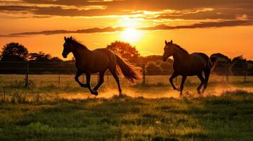 Two horses running in a field at sunset. Generative AI photo