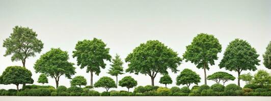 Set of green trees isolated on white background. Different kinds of tree collection. AI generated photo