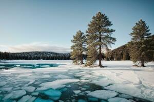 azul hielo y grietas en el superficie de el hielo. congelado lago debajo un azul cielo en el invierno. el colinas de pinos invierno. cárpatos, Ucrania, Europa.. ai generado foto
