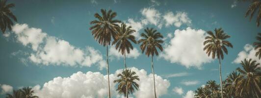 Blue sky and palm trees view from below, vintage style, tropical beach and summer background, travel concept. AI generated photo