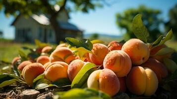 Fruta huertos un estacional deleite para naturaleza entusiastas, ai generativo foto