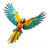 Colorful flying parrot isolated photo