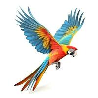 Colorful flying parrot isolated photo