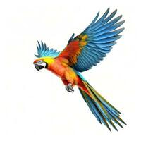 Colorful flying parrot isolated photo