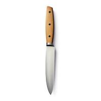 Kitchen knife isolated photo