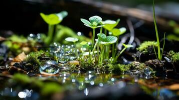 generativo ai, de la naturaleza tapiz un delicado flor silvestre prado desvelado foto