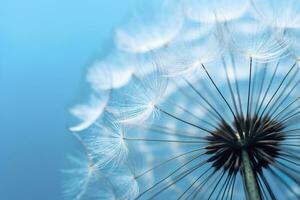 Close up of dandelion on the blue background. Generative AI photo