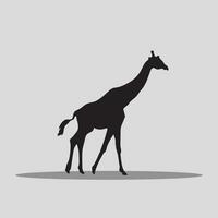 Giraffe animal vectors