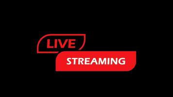 live stream lower third animation motion with alpha channel, transparent background video