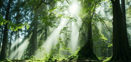 Beautiful rays of sunlight in a green forest. AI generated photo