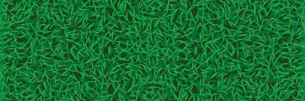 lawn grass wide background vector