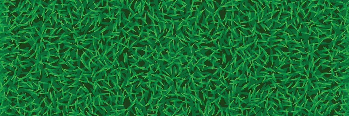 lawn grass wide background