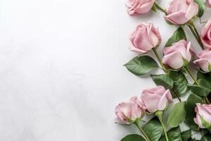 Close up of blooming pink roses flowers and petals isolated on white table background. Floral frame composition. Decorative web banner. Empty space, flat lay, top view. AI Generative photo