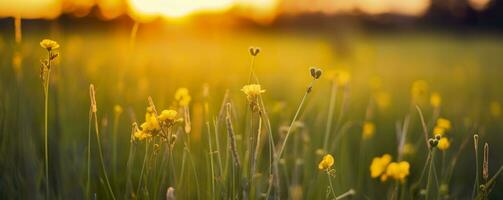 Tranquil spring summer nature closeup and blurred forest background. Generative AI photo