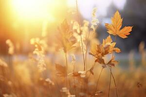 Arte otoño soleado naturaleza antecedentes. generativo ai foto