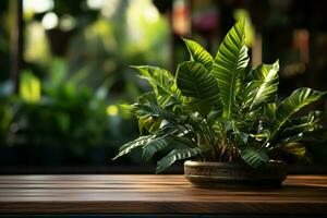 Close up 3D render empty wooden table with tropical banana leaf plant AI Generated photo