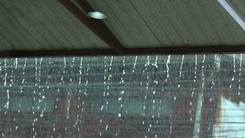lento movimento do pingos de chuva água fundo video