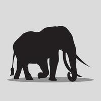 Elephant vector art