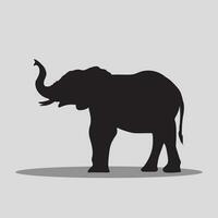 Elephant vector art