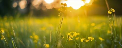 Tranquil spring summer nature closeup and blurred forest background. Generative AI photo