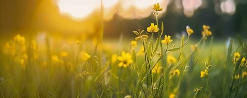 Tranquil spring summer nature closeup and blurred forest background. Generative AI photo