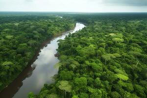 Aerial view of the Amazonas jungle landscape with river bend. Generative AI photo