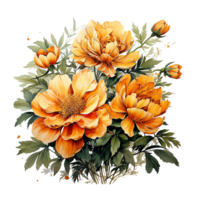 ringblomma blomma, ringblomma blomma png, ringblomma blomma vattenfärg png, transparent bakgrund, ai generativ png