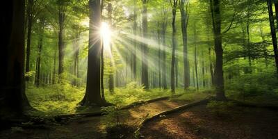 Beautiful rays of sunlight in a green forest. Generative AI photo