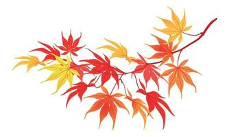 Autumn branch on a white background. The time of leaf fall. The red leaves of the Japanese maple fall down, fluttering in the wind. Vector illustration.