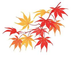 Autumn branch on a white background. The time of leaf fall. The red leaves of the Japanese maple fall down, fluttering in the wind. Vector illustration.