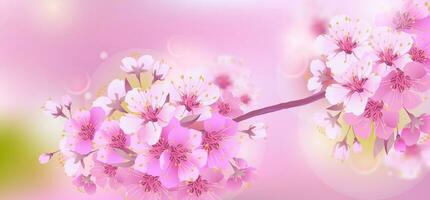 Branches of cherry blossoms on a soft light pink background. For Easter and spring cards with space for text. Floral spring abstract nature background. Branches with pink flowers. vector