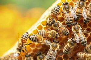 honey bees on honeycomb in apiary in summertime, Honey bees communicate with each other, AI Generative photo