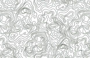 Seamless Topography Vector Pattern