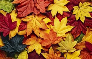 Background of autumn leaves. Autumn background. Generative AI photo