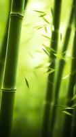 el verde bambú bosque. un sitio de paz y tranquilidad. ai generativo foto