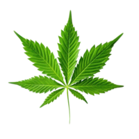 Grün Cannabis Blatt isoliert png