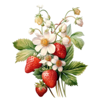 Soft Watercolor Realistic Strawberry, Strawberry With Tree, Strawberry Png, Transparent Background, AI Generative png