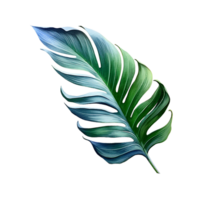 Blatt, Blatt png, botanisch Blatt, botanisch Blatt Clip Art, transparent Hintergrund, ai generativ png