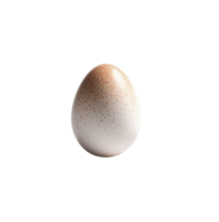 ägg, ägg png, ägg ClipArt, transparent bakgrund, ai generativ png