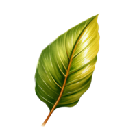 blad, blad png, botanisch blad, botanisch blad clip art, transparant achtergrond, ai generatief png