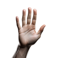 Hand, Hand Png, Five Fingers Png, Hand With Transparent Background, AI Generative png