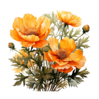 ringblomma blomma, ringblomma blomma png, ringblomma blomma vattenfärg png, transparent bakgrund, ai generativ png