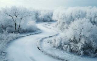Aerial view of a forest by snow covered road photo