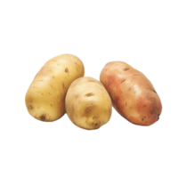 potatis, potatis png, potatis ClipArt, potatis ikon, transparent bakgrund, ai generativ png