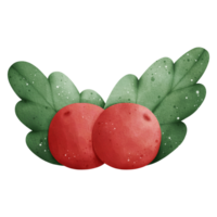 acquerello frutti di bosco illustrazione png