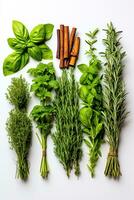 Top view of fresh organic Mediterranean herbs and spices on a white background sage rosemary thyme oregano basil and pepper photo