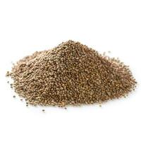 Amaranth Groats isolated on white background side view photo