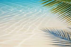 Beautiful palm leaf shadow on abstract white sand beach with sunlit water surface a perfect summer vacation background photo